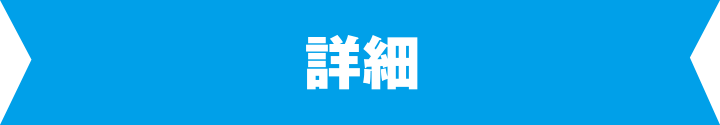詳細